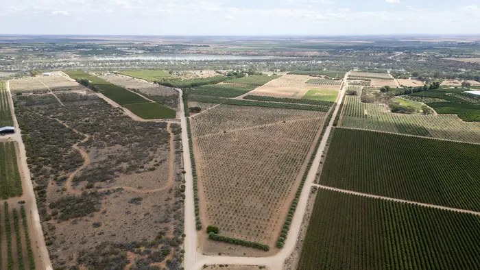 Aerial showing orchard blocks, internal roads and the scale of the surrounding land