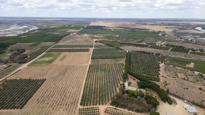 High aerial over the district showing irrigated blocks stretching to the horizon
