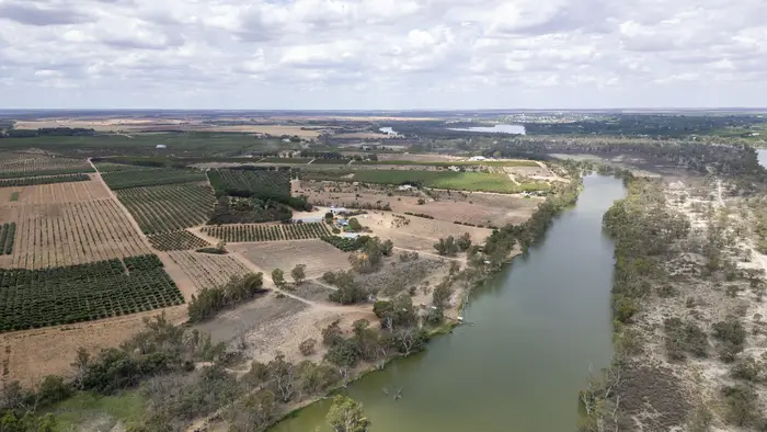 Aerial view of orchard blocks running back from the river frontage