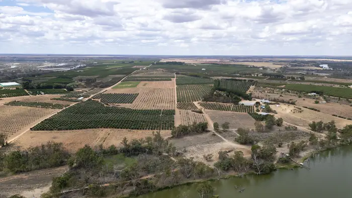 Broad aerial showing orchard blocks, open land and the River Murray corridor