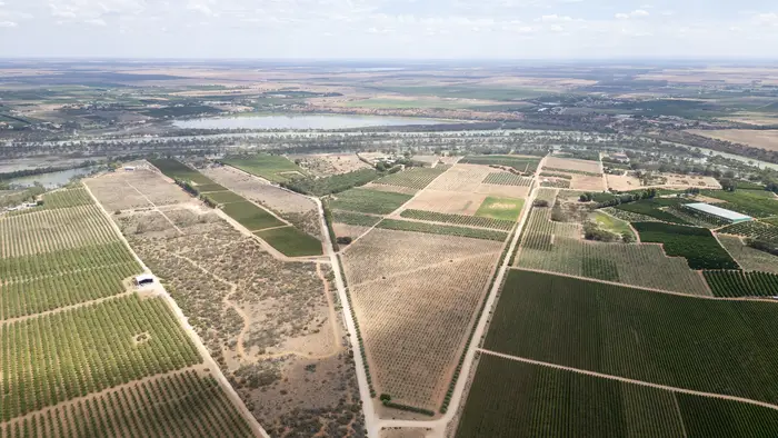 Aerial of orchard blocks divided by access roads and shelter belts