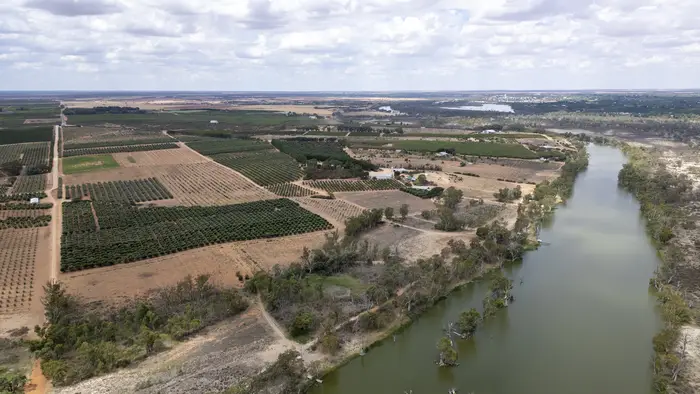 Wide aerial of the River Murray curving past orchard and grazing country