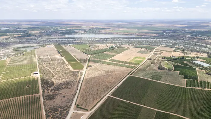 Aerial view across cropped and irrigated blocks with a road cutting through