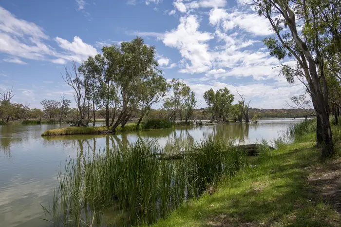 Grassy river frontage with reeds and open water beyond