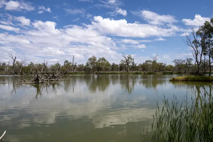 River Murray landscape with mirrored reflections of trees and cloud