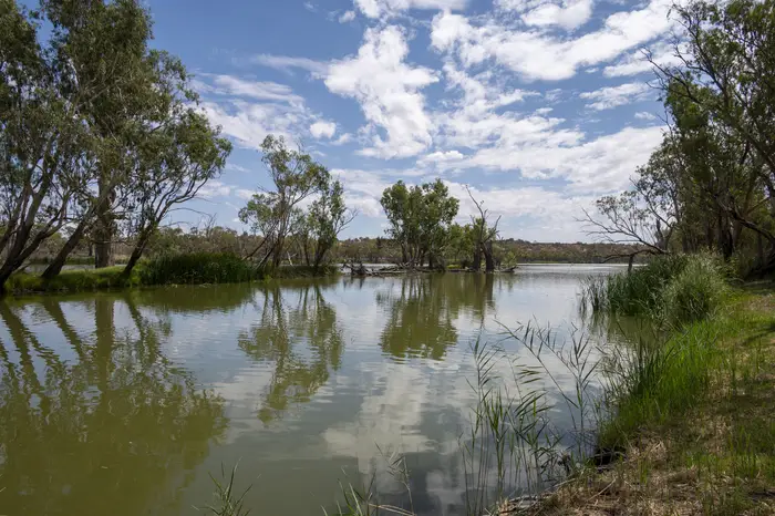 River Murray channel with gums and cloud reflections