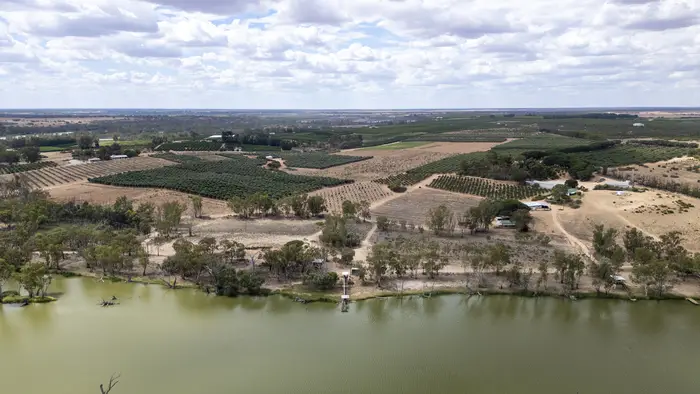 Aerial view of the River Murray with green irrigated horticultural blocks on the floodplain