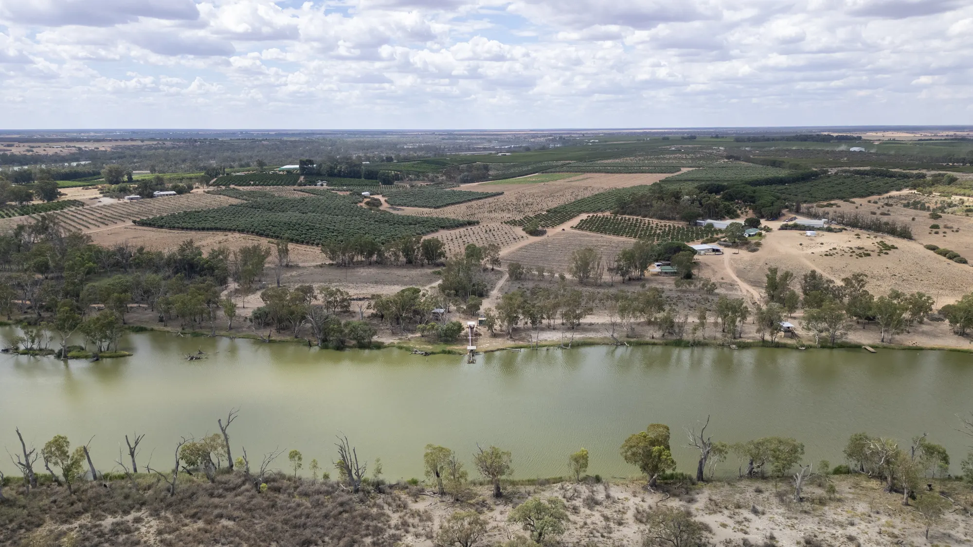 Aerial view of the river channel, sandy banks and river red gums with farmland behind